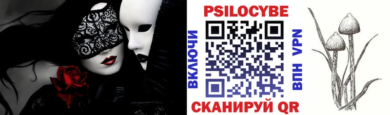 Купить где  Михайлов  Псилоцибиновые грибы Psilocybine cubensis 